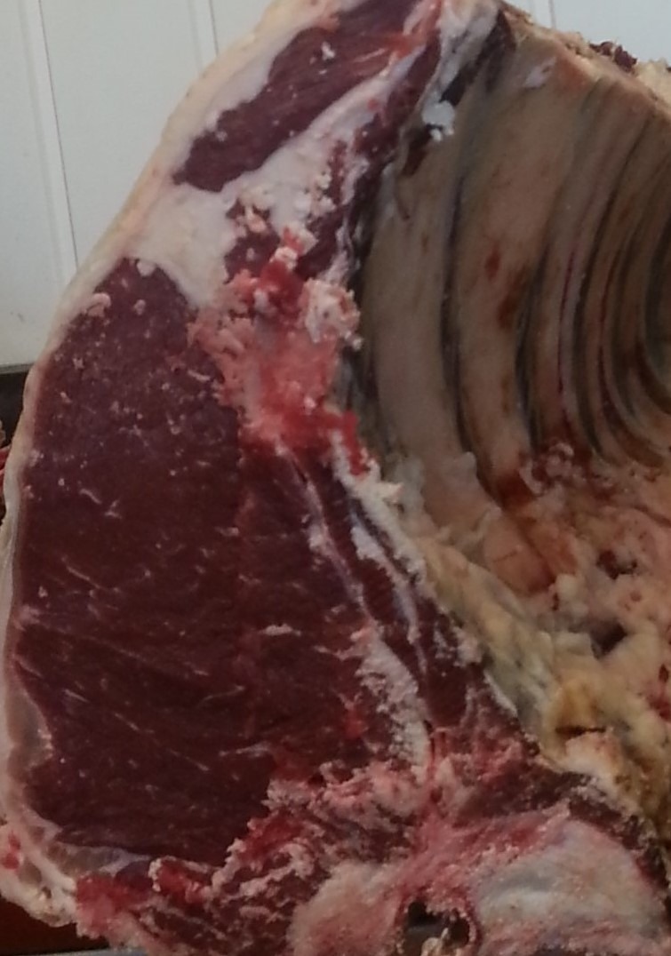 Prime Rib / Standing Rib Roast vom Galloway – Bild 3